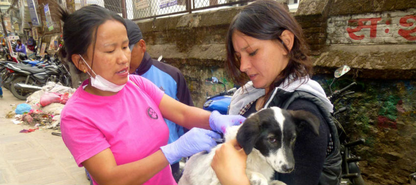 Rabies Control Project