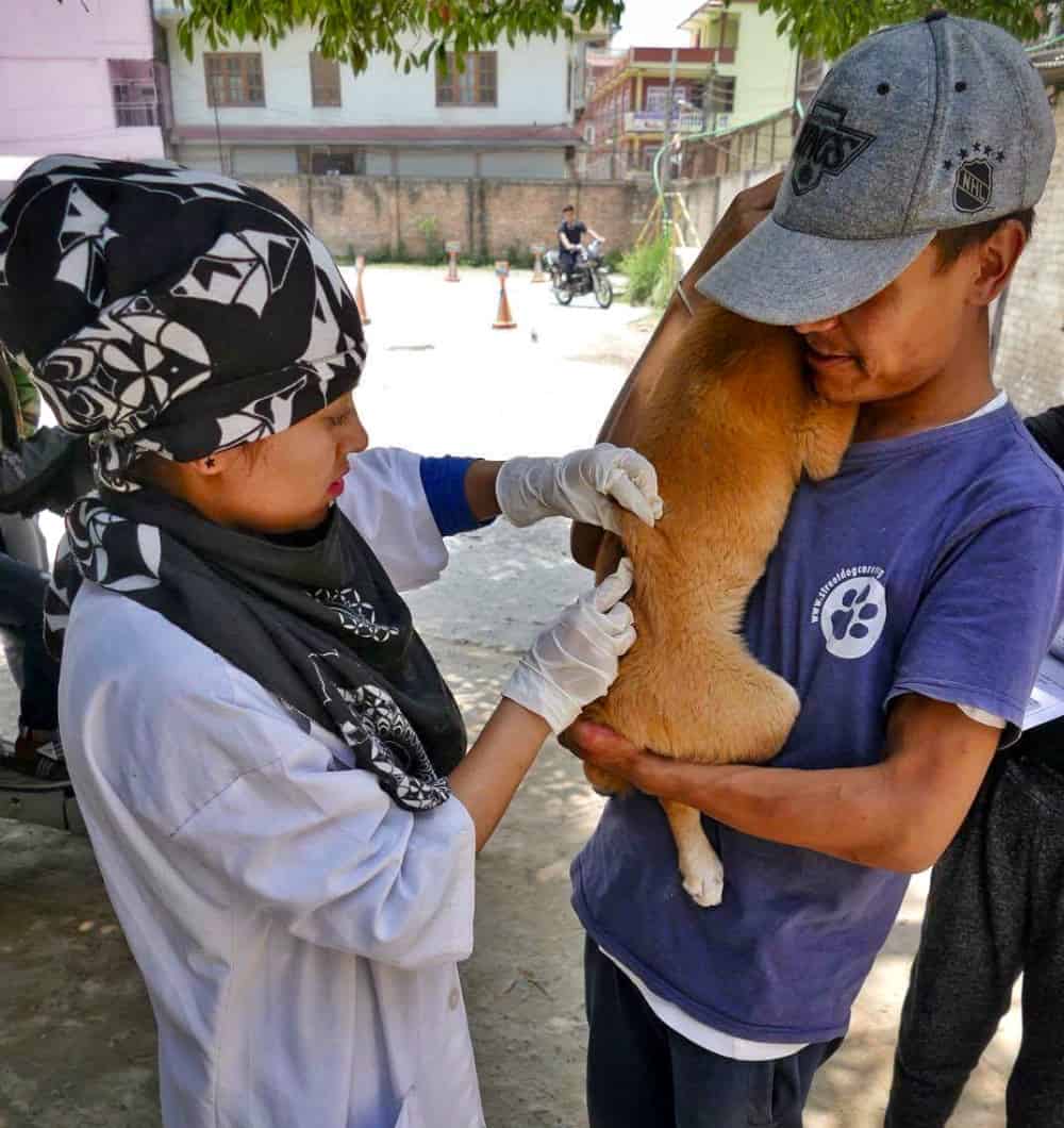 Rabies Vaccination 1 - Chancve for Nepal