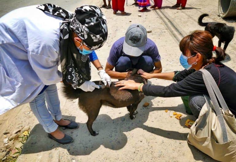 Rabies Vaccination 2 - Chance for Nepal