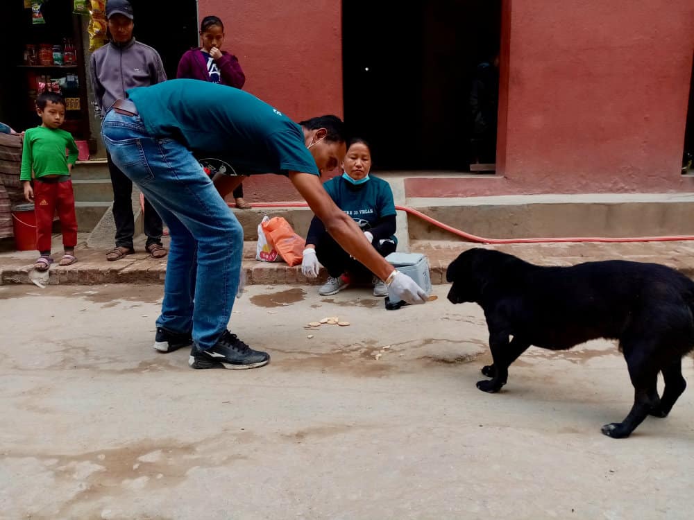 SNEHAs CARE ANTI-RABIES VACCINATIONS APRIL 2019 - Photo 2