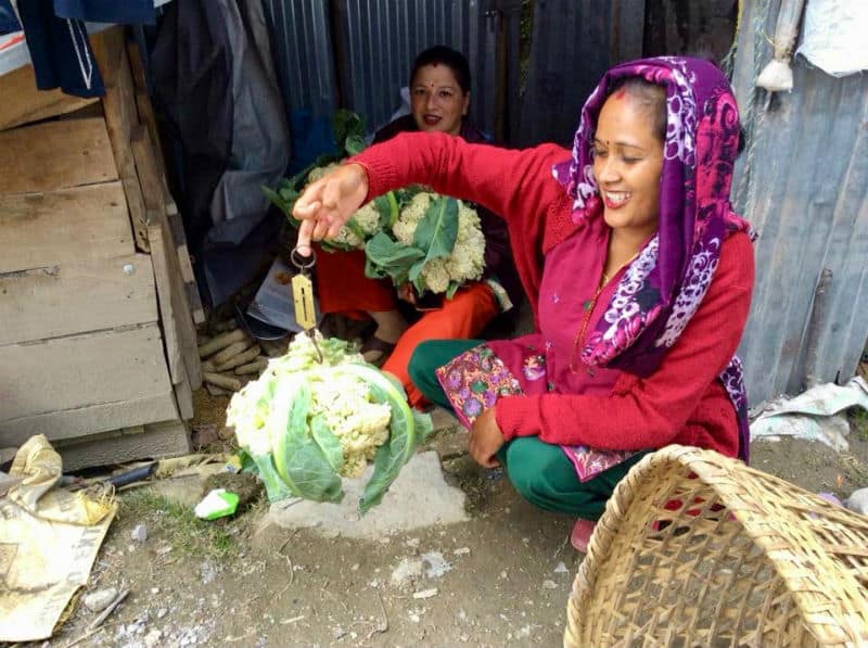 Chance for Nepal - WOMENs COOPERATIVE SOCIETY WCS - Skills 4