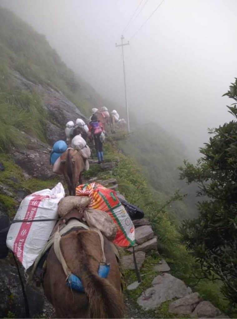 Mountain Heart Nepal (MHN) - Langtang Valley Nepal Lead