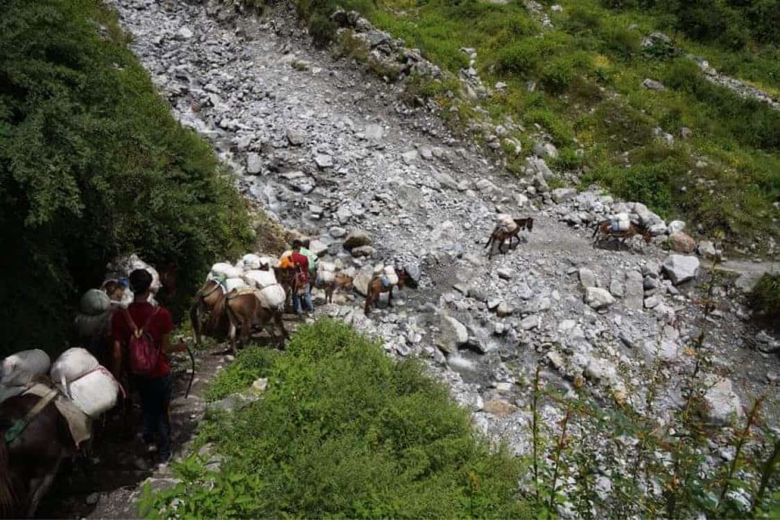 Mountain Heart Nepal (MHN) - Langtang Valley Nepal