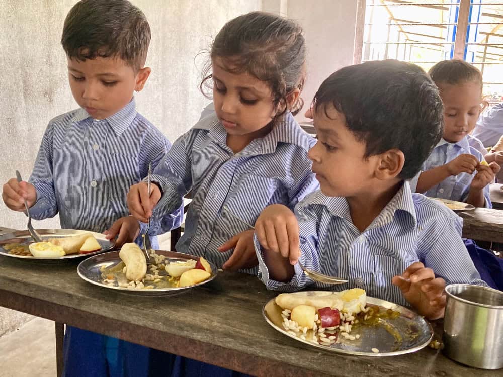 Tiffin Programme 2024