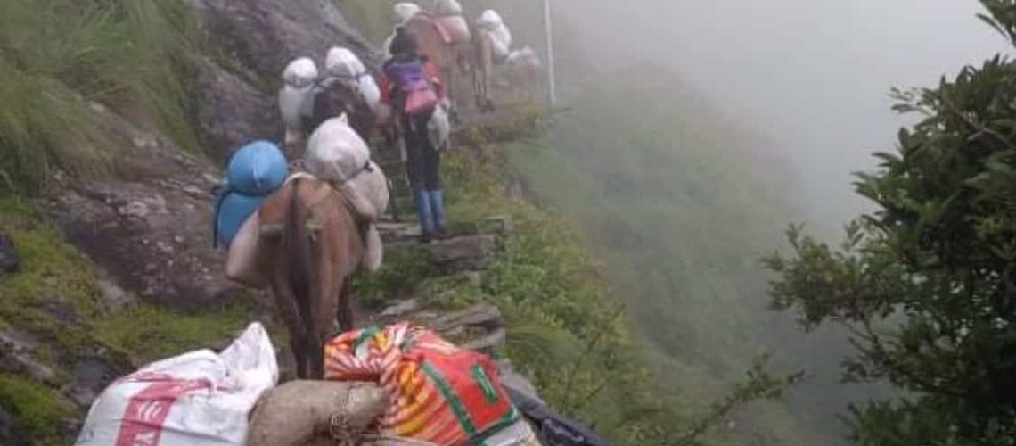 Mountain Heart Nepal (MHN) - Langtang Valley Nepal Lead